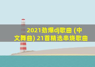 2021劲爆dj歌曲 (中文舞曲) 21首精选串烧歌曲